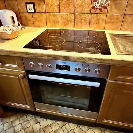 Mosshammer Appartement Lofer